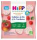 HiPP My Pleasure Snack Rice Cakes Raspberry From 10 Months Organic 30g