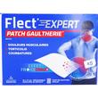 FLECT'EXPERT PATCH GAULTHERIE 5 PATCHS 10X14CM 