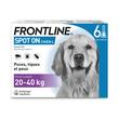 FRONTLINE CHIEN SPOT ON 20-40 KG 6 PIPETTES 